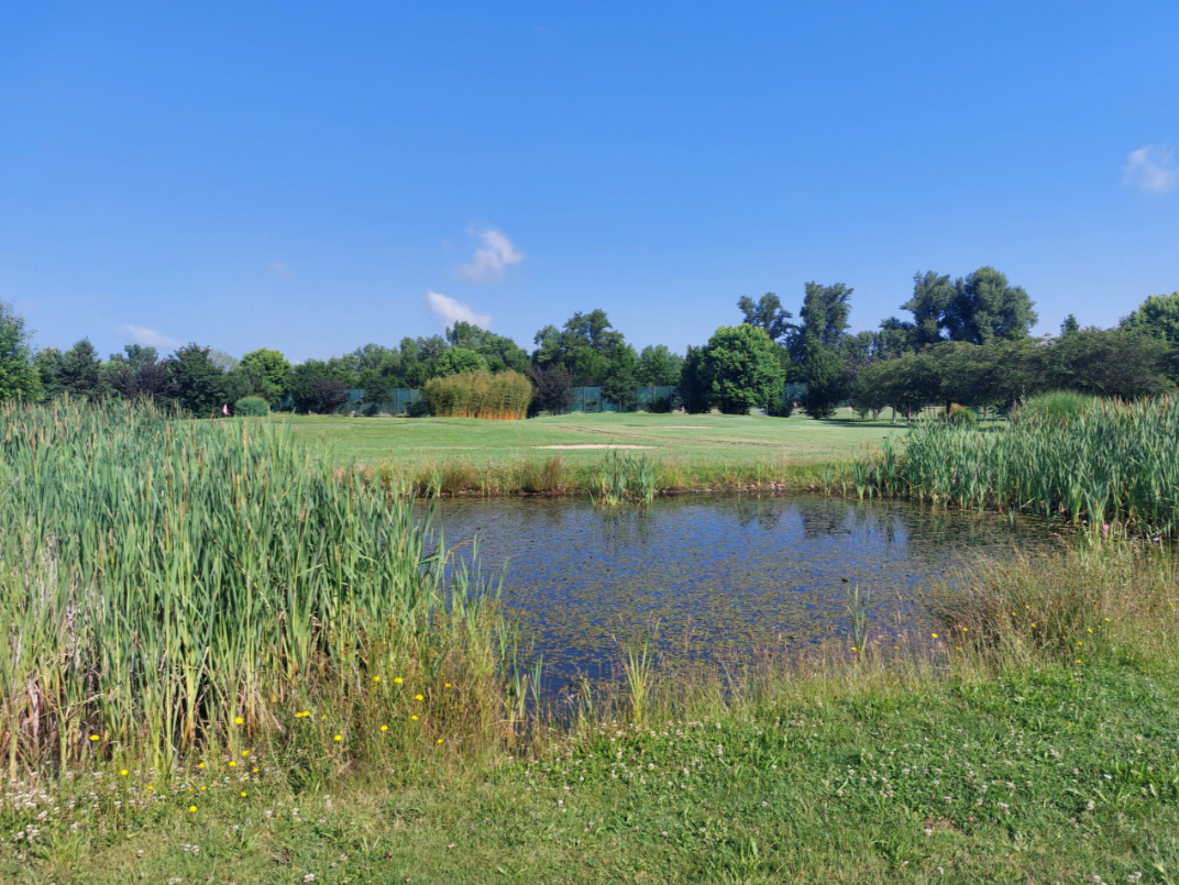 France Pitch & Putt